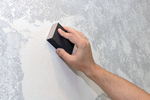 Best Black Mold Removal  in Paxton, IL