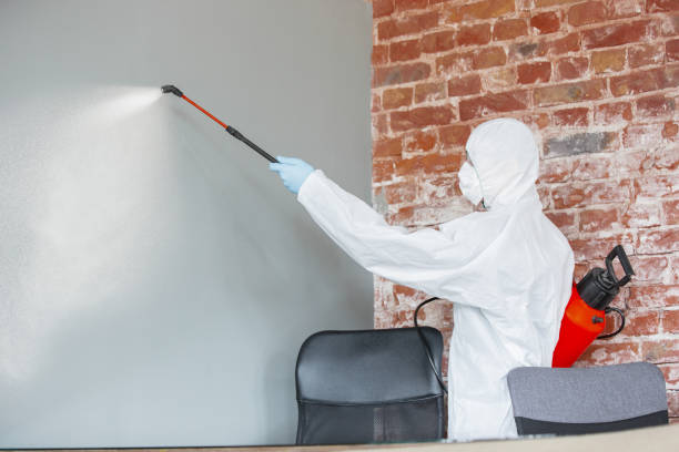 Best Indoor Air Quality Assessment  in Paxton, IL
