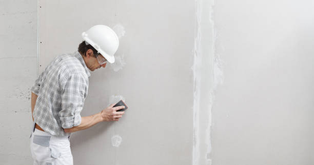 Best Asbestos and Lead Testing During Mold Inspection  in Paxton, IL