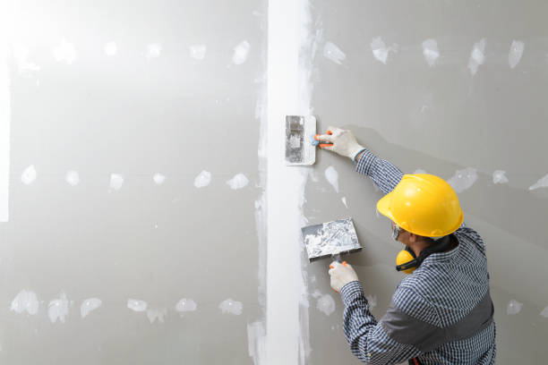 Best Biohazard Mold Removal  in Paxton, IL