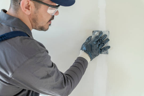 Best Water Damage & Mold Remediation  in Paxton, IL