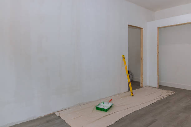 Best Mold Prevention Services  in Paxton, IL