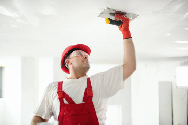 Best Residential Mold Inspection & Testing  in Paxton, IL