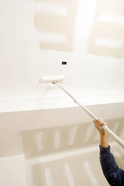 Best Industrial Mold Remediation  in Paxton, IL