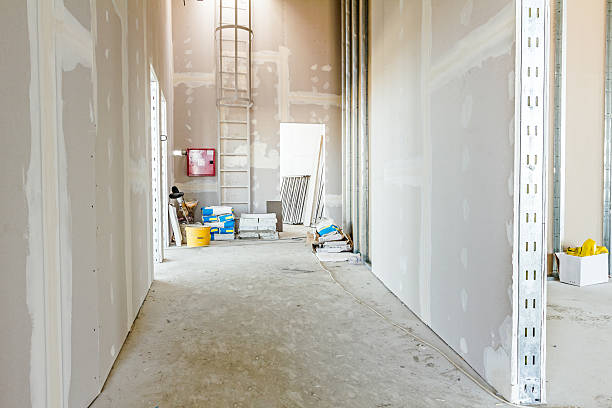 Mold Odor Removal Services in Paxton, IL