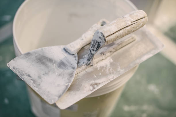 Best Mold Removal for HVAC Installations  in Paxton, IL