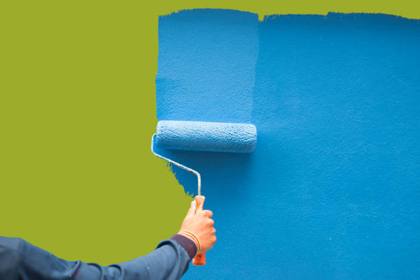 Best Real Estate Mold Inspection  in Paxton, IL